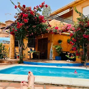 Apartamento Con Jacuzzi Y Terraza Con Opcion A Piscina Privada, Almuñécar
